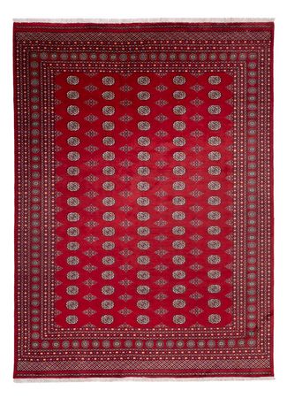 Afghan Rug - Bukhara - 380 x 277 cm - red