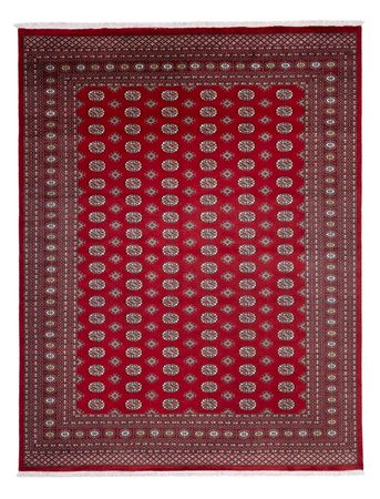 Afghan Rug - Bukhara - 362 x 278 cm - red