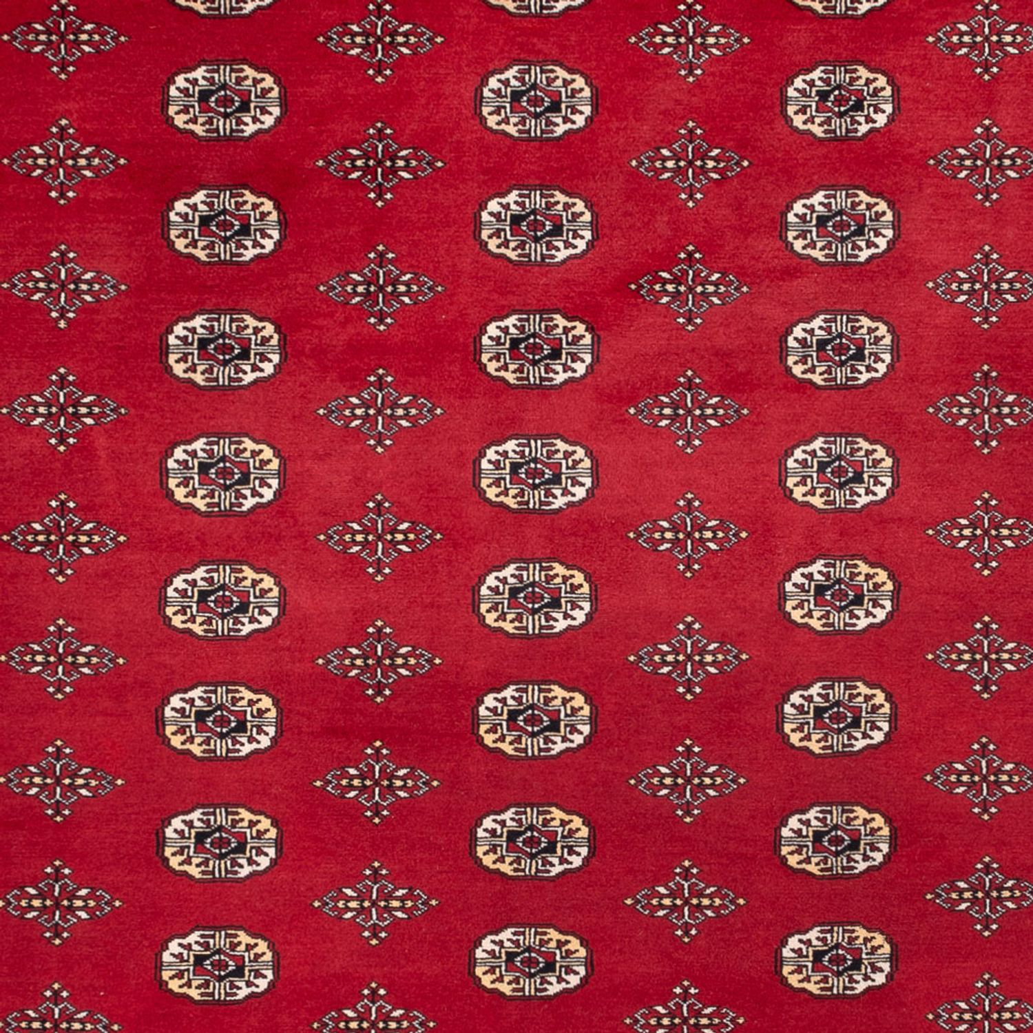 Afghan Rug - Bukhara - 369 x 275 cm - red