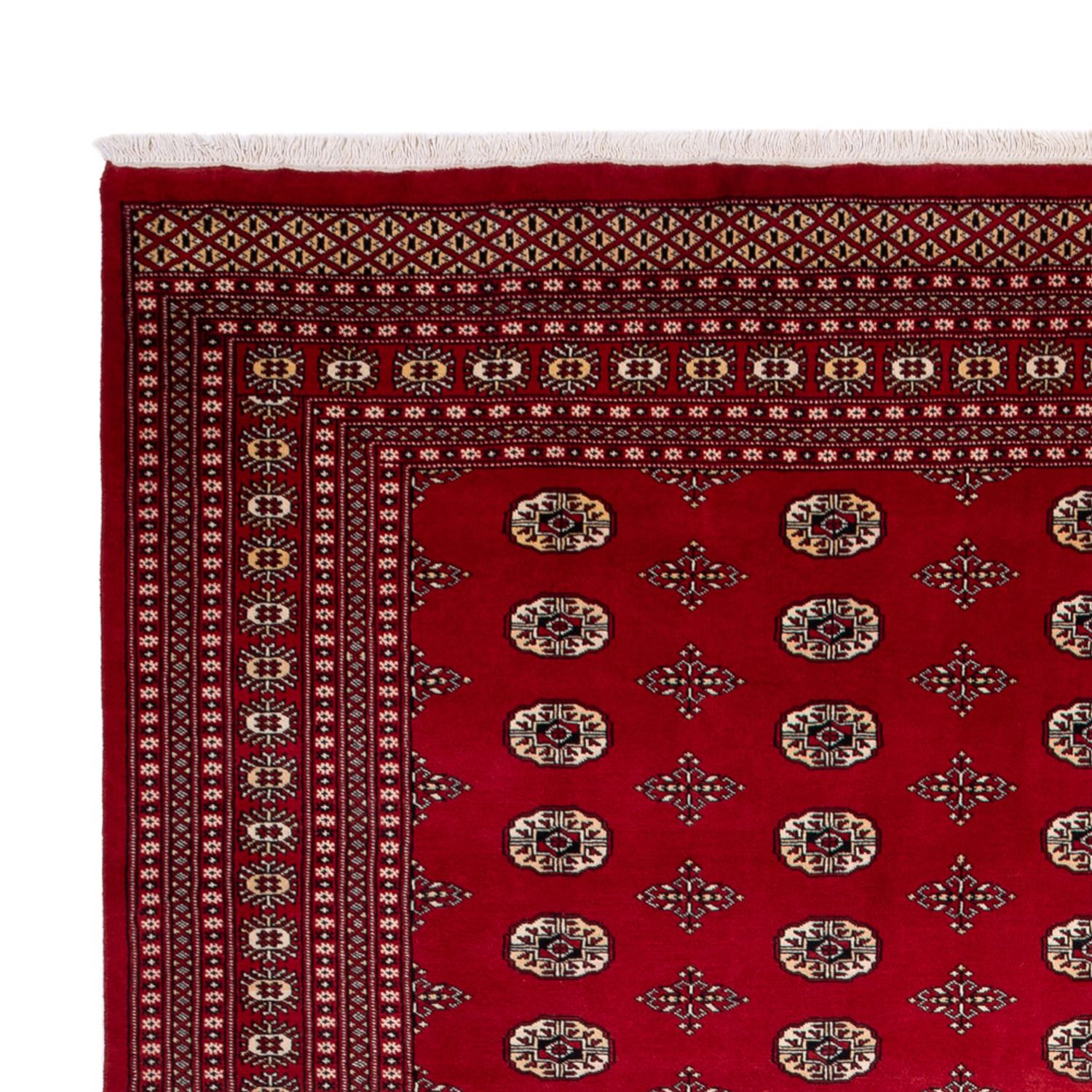 Afghan Rug - Bukhara - 369 x 275 cm - red