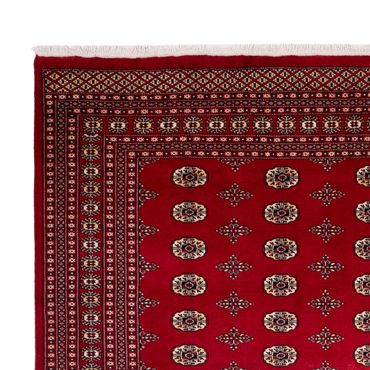 Afghan Rug - Bukhara - 369 x 275 cm - red