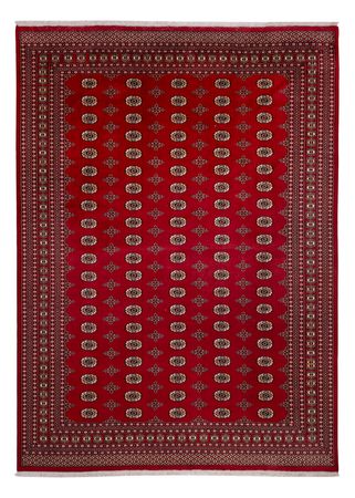 Afghan Teppich - Buchara - 387 x 276 cm - rot