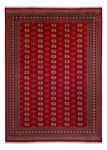 Afghan Teppich - Buchara - 387 x 276 cm - rot