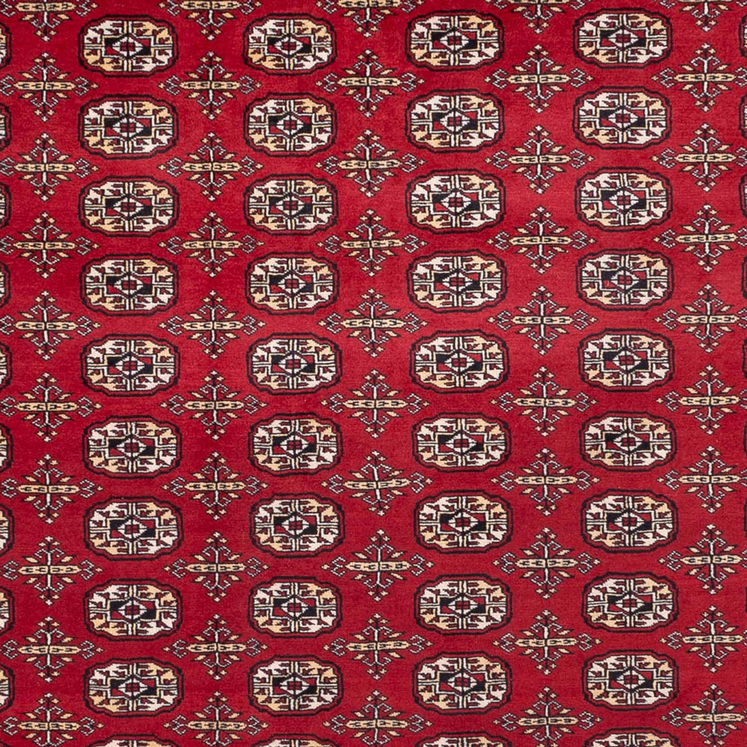 Afghan Teppich - Buchara - 346 x 241 cm - rot
