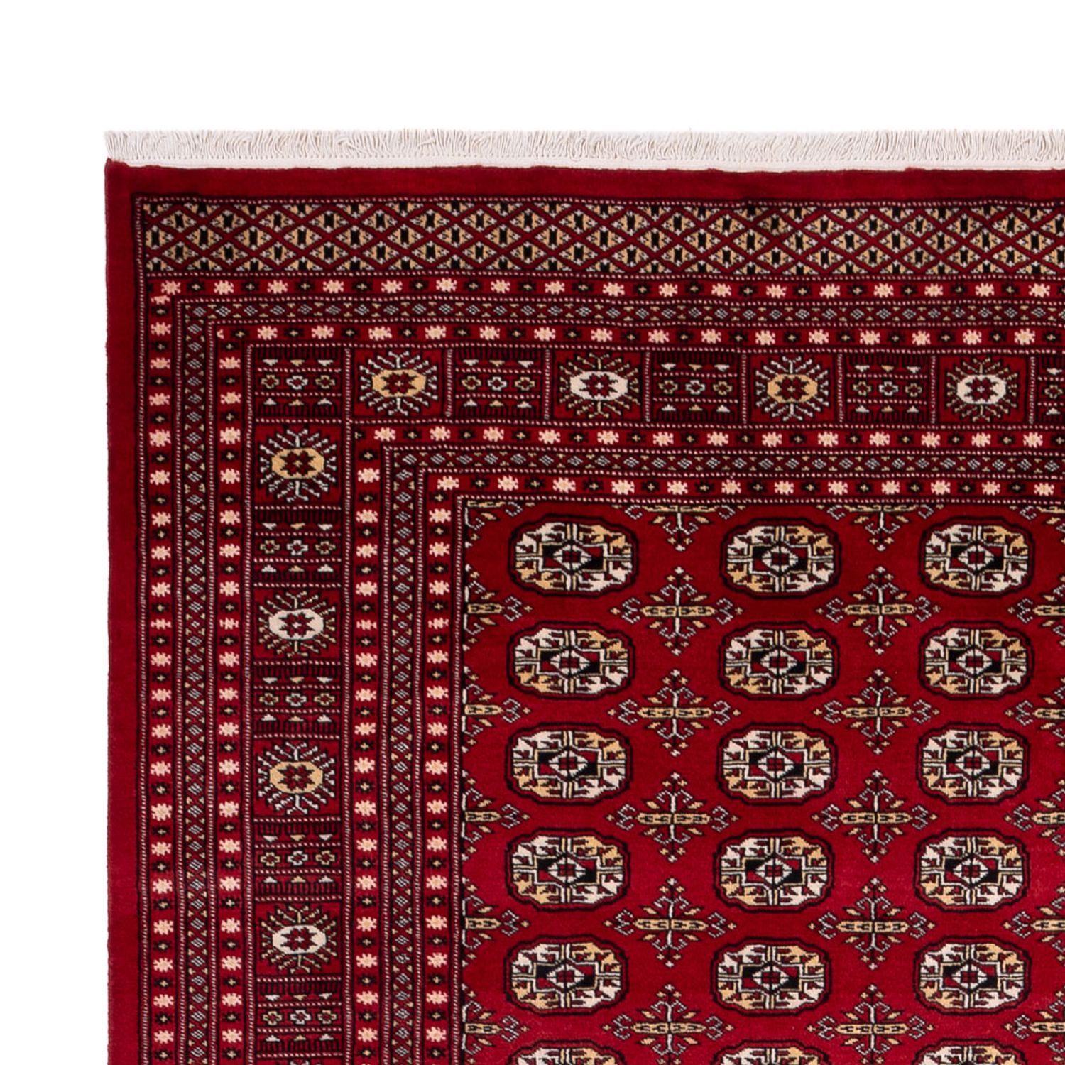 Afghan Teppich - Buchara - 346 x 241 cm - rot