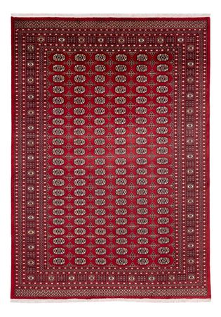 Afghan Teppich - Buchara - 346 x 241 cm - rot
