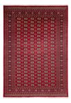 Afghan Teppich - Buchara - 346 x 241 cm - rot