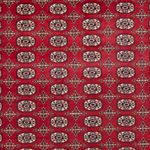 Afghan Teppich - Buchara - 346 x 241 cm - rot