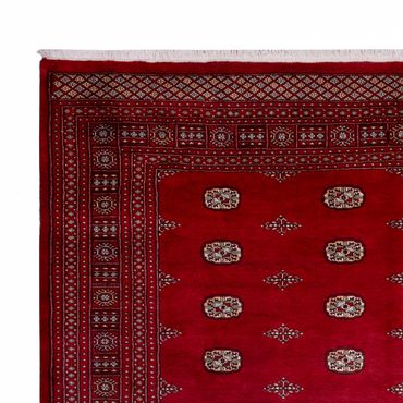 Afghan Rug - Bukhara - 364 x 283 cm - red