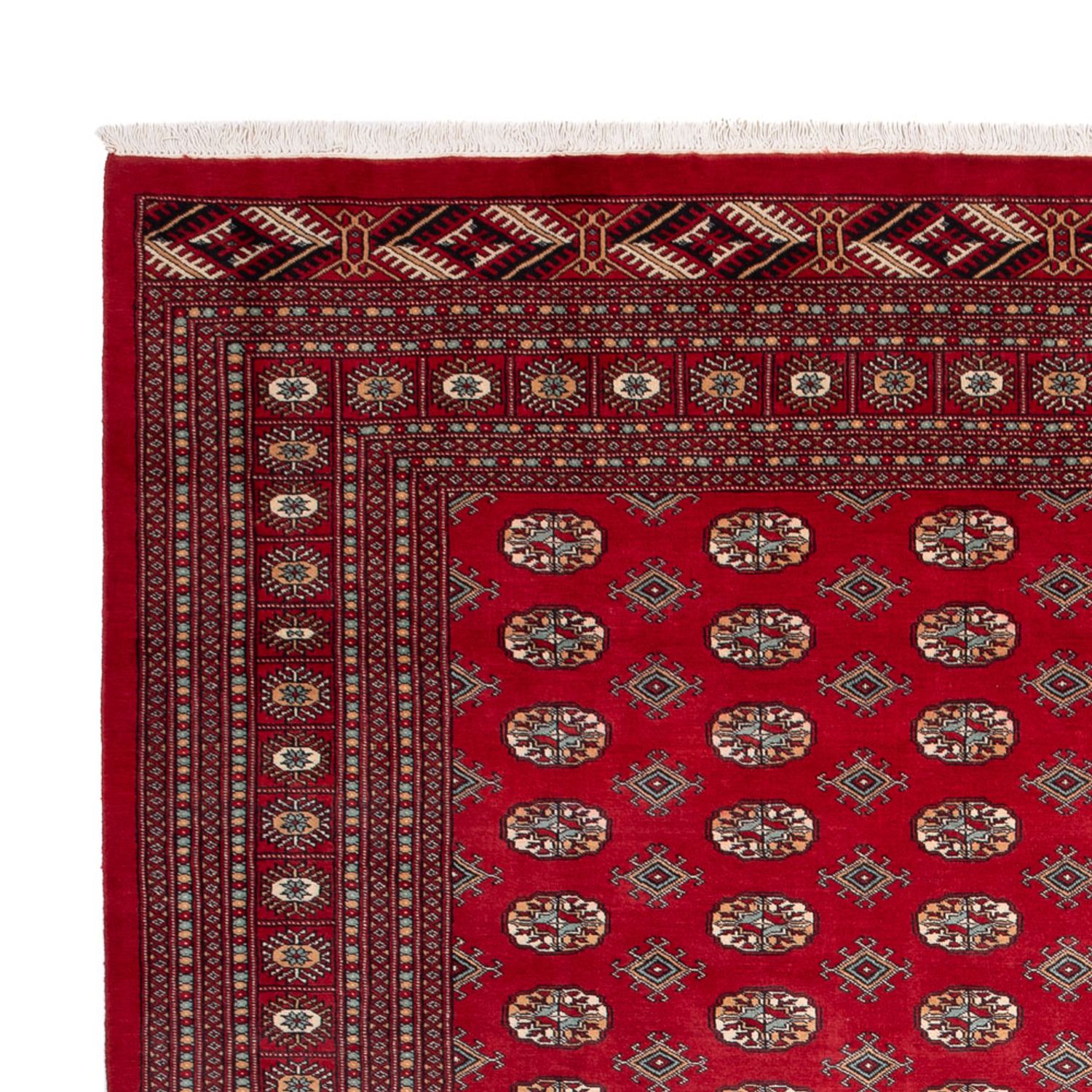 Afghan Rug - Bukhara - 354 x 275 cm - red
