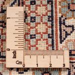 Hedvábný koberec - Kašmírské hedvábí - 372 x 277 cm - tmavě béžová