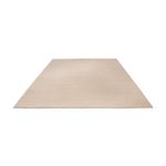 Ziegler Rug - Modern - 356 x 258 cm - cream