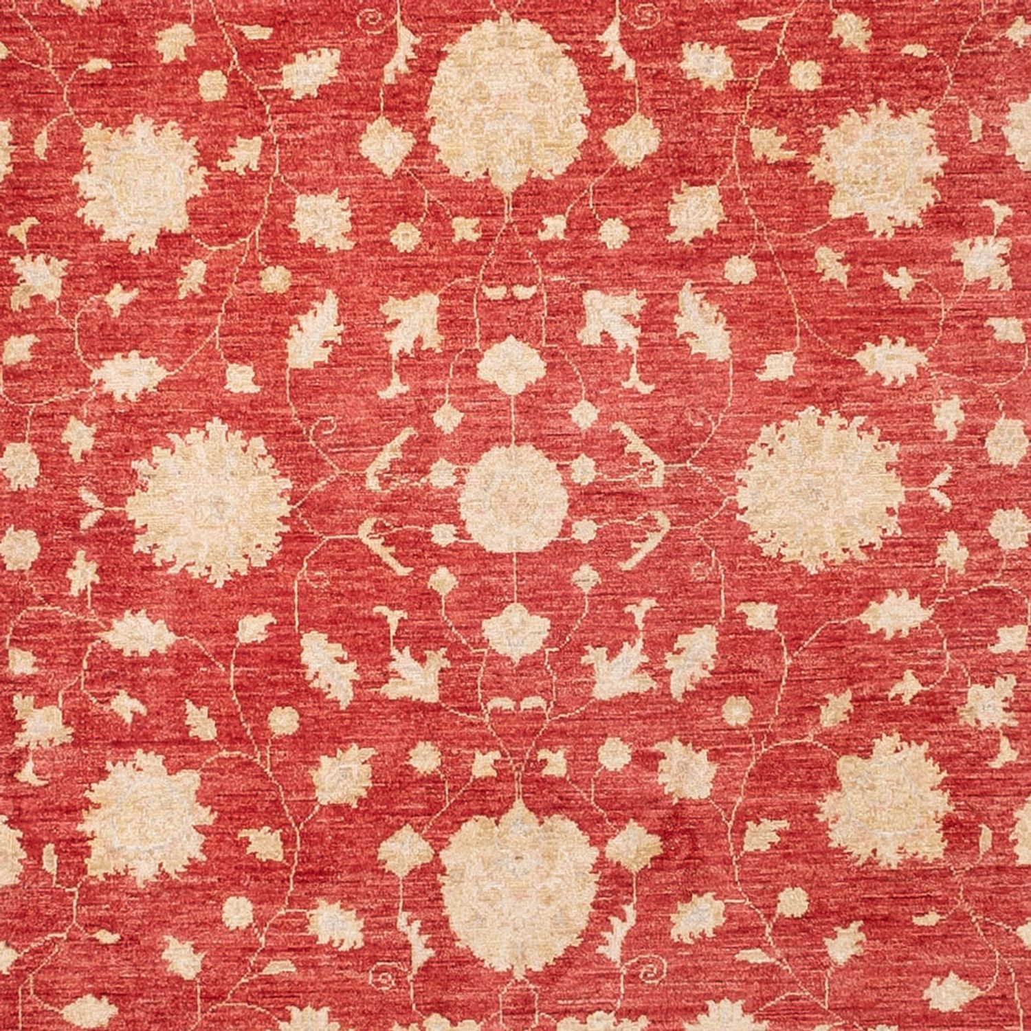 Ziegler Rug - 413 x 198 cm - red