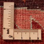 Ziegler Teppe - Ariana - 395 x 305 cm - flerfarget