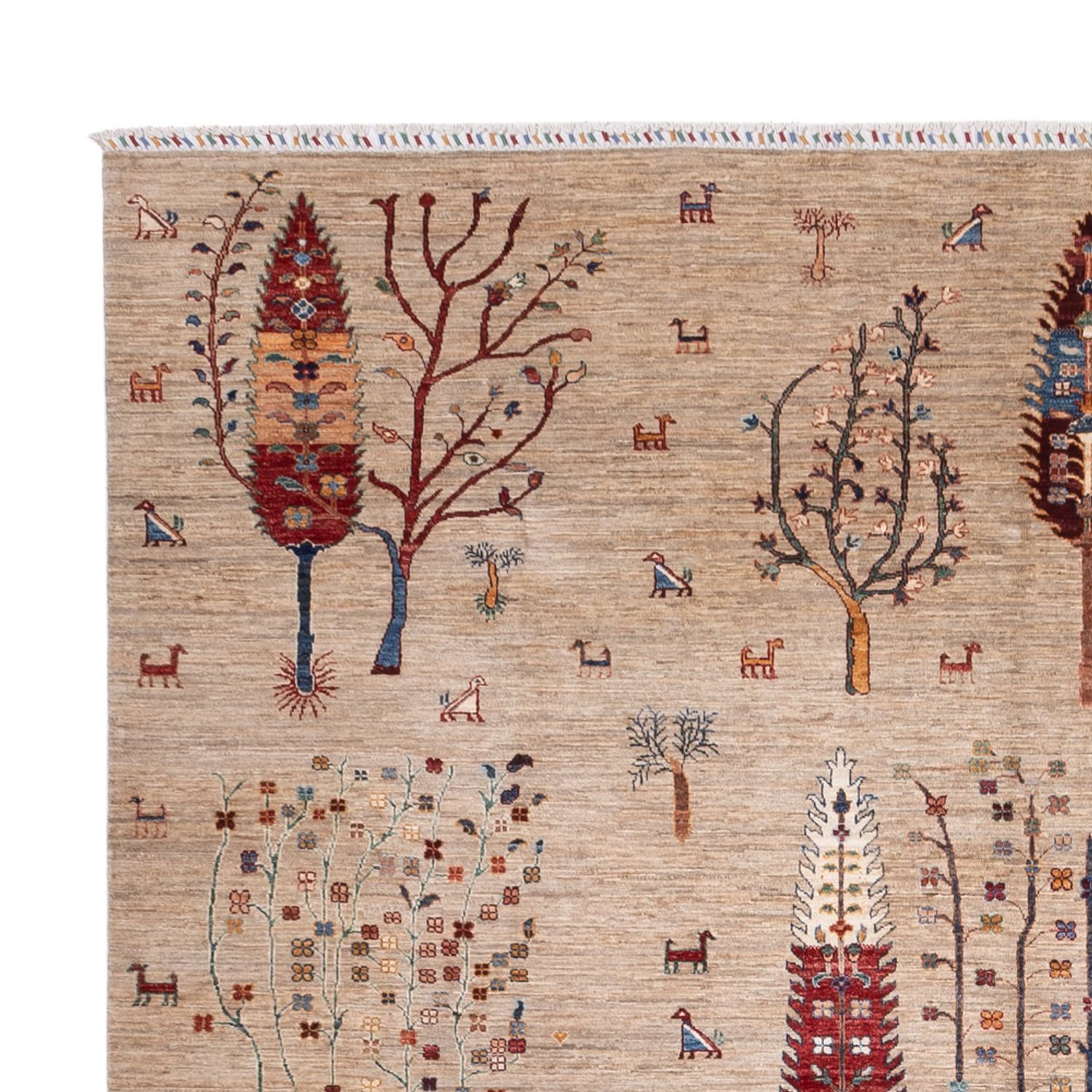 Ziegler Rug - Ariana - 392 x 292 cm - beige