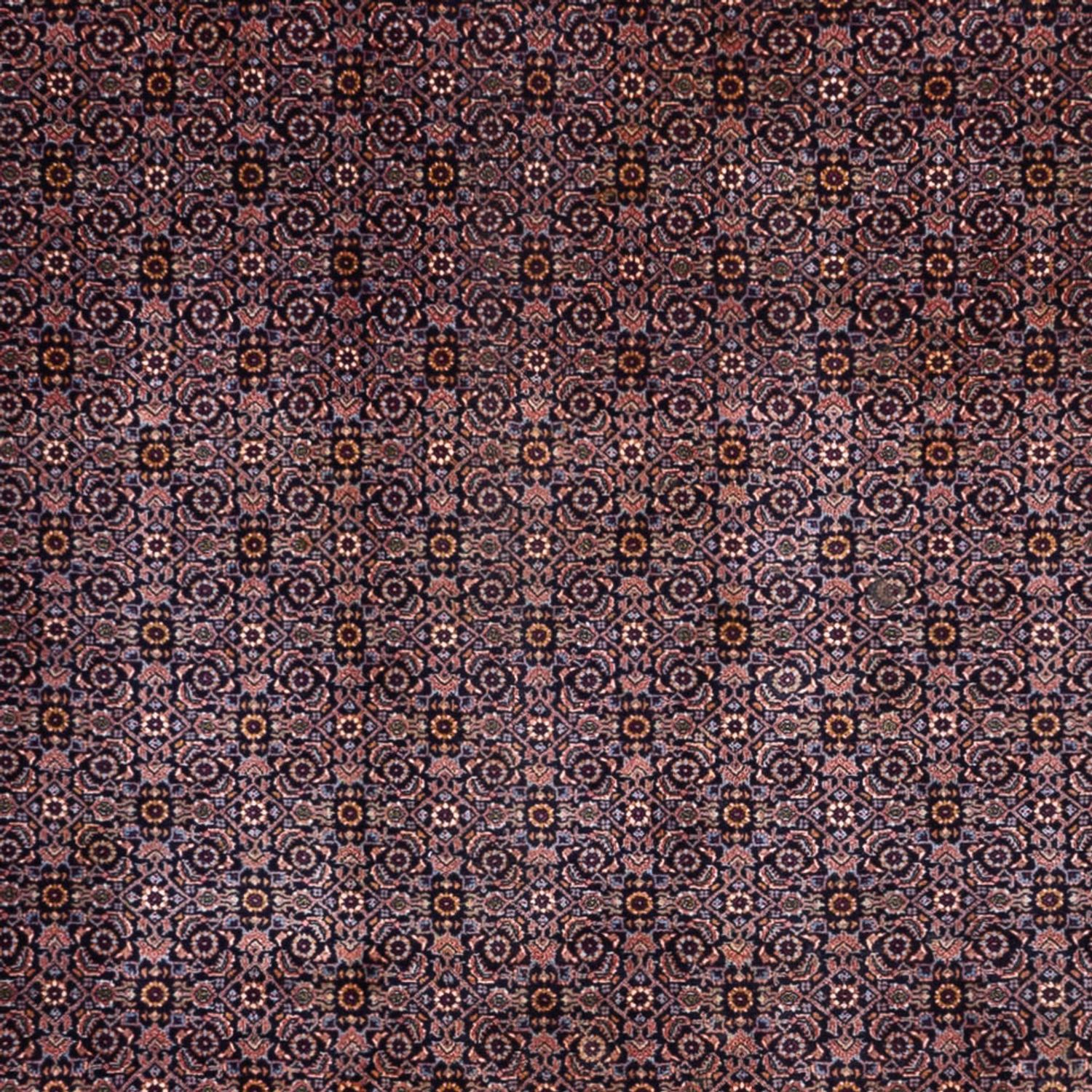 Perský koberec - Bijar - Královský - 349 x 252 cm - tmavě béžová