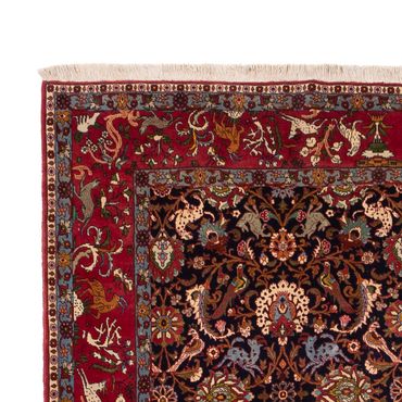 Tapete Persa - Nomadic - 340 x 217 cm - bege escuro