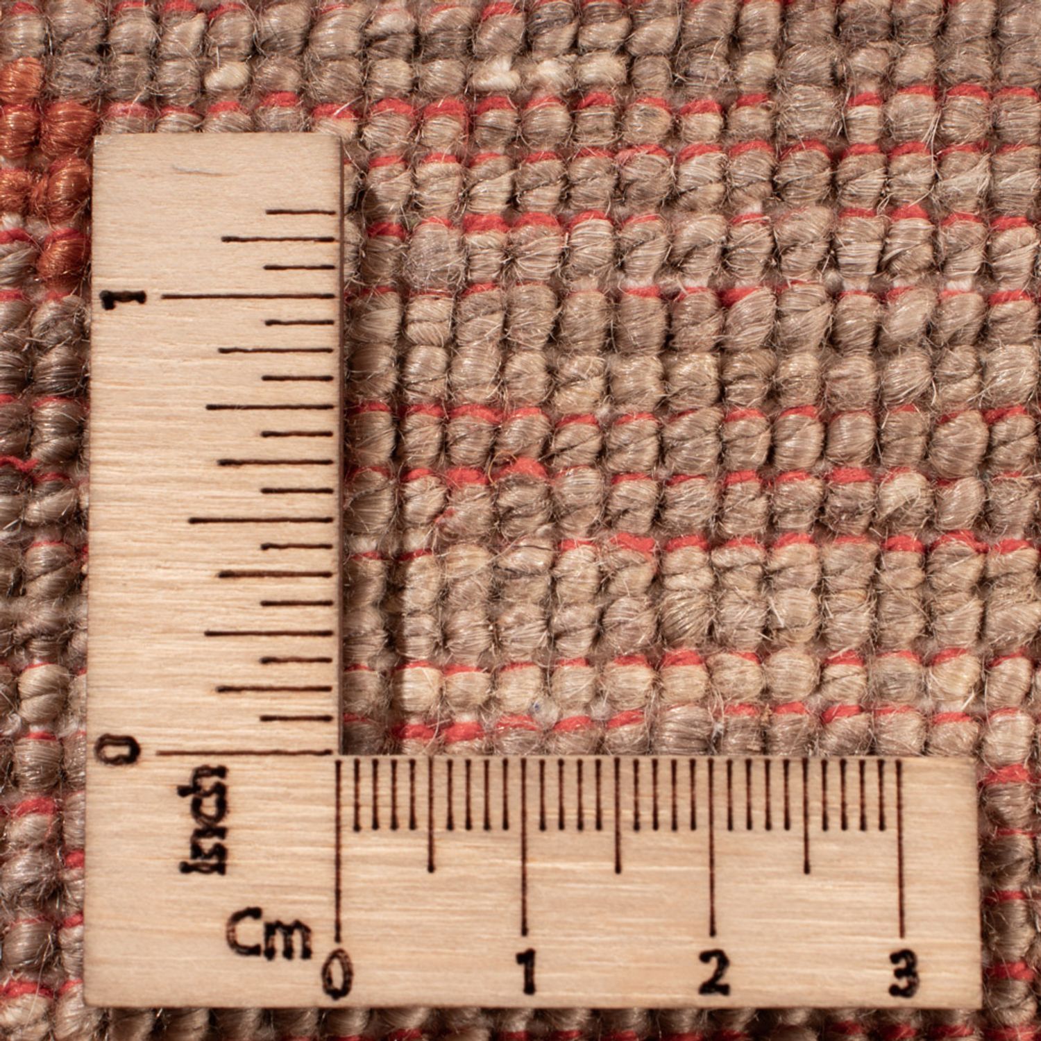 Ziegler Teppich - Ariana - 300 x 242 cm - beige