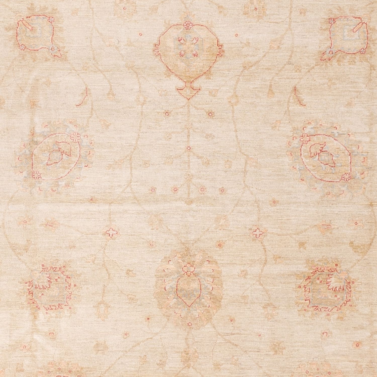 Ziegler Rug - 689 x 402 cm - beige
