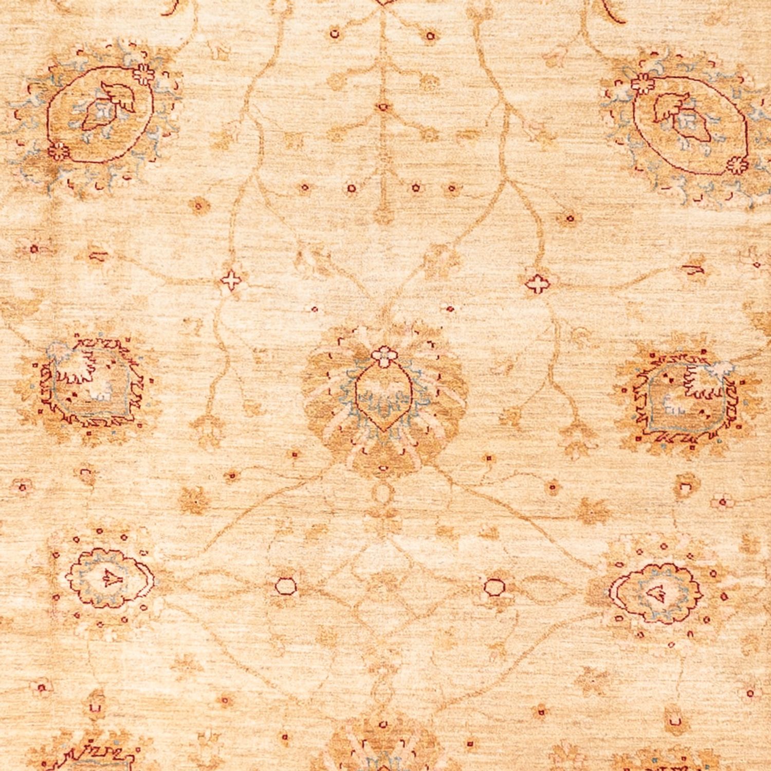 Ziegler Rug - 584 x 394 cm - beige