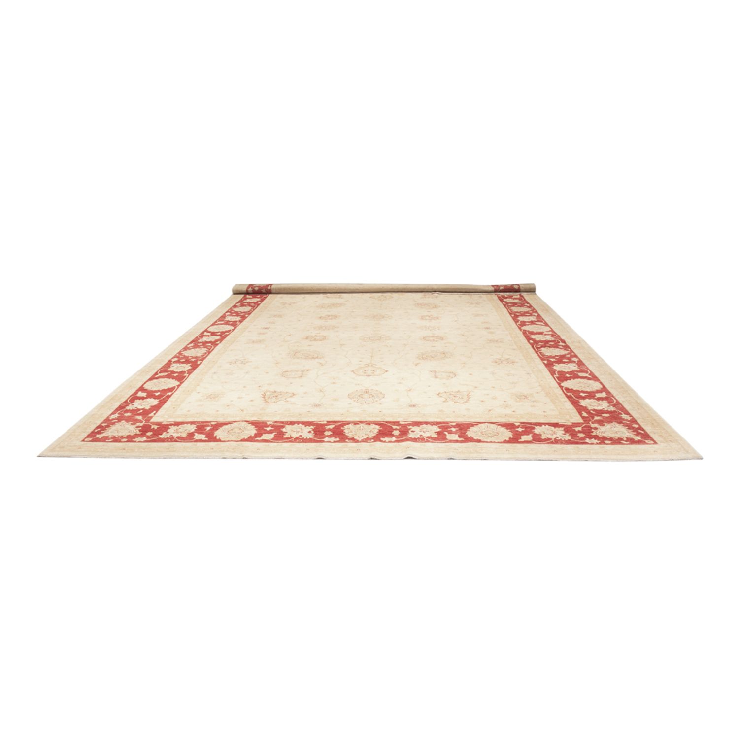 Ziegler Rug - 584 x 394 cm - beige