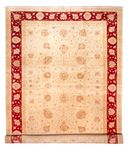 Ziegler Rug - 584 x 394 cm - beige