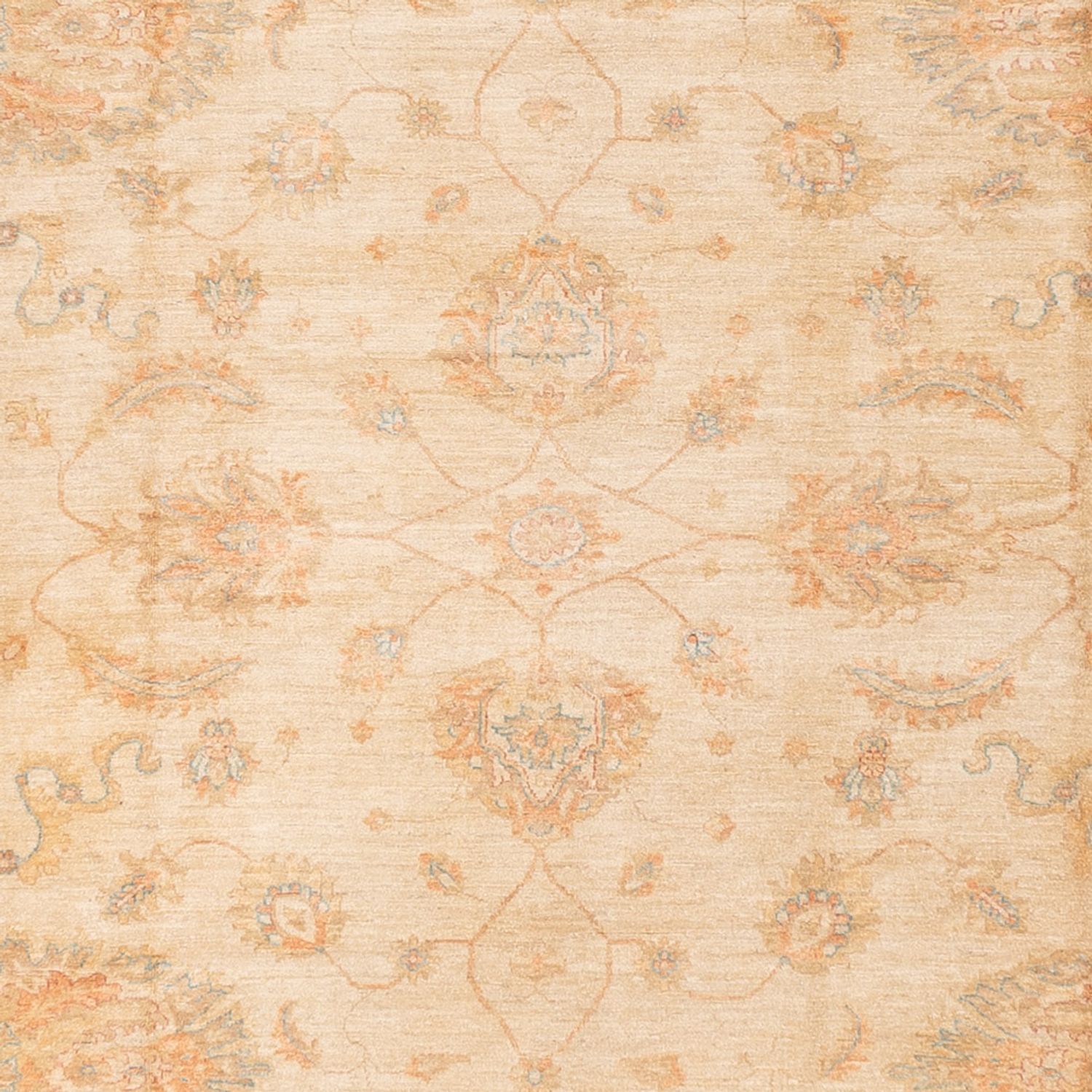 Ziegler Teppich - 585 x 396 cm - beige