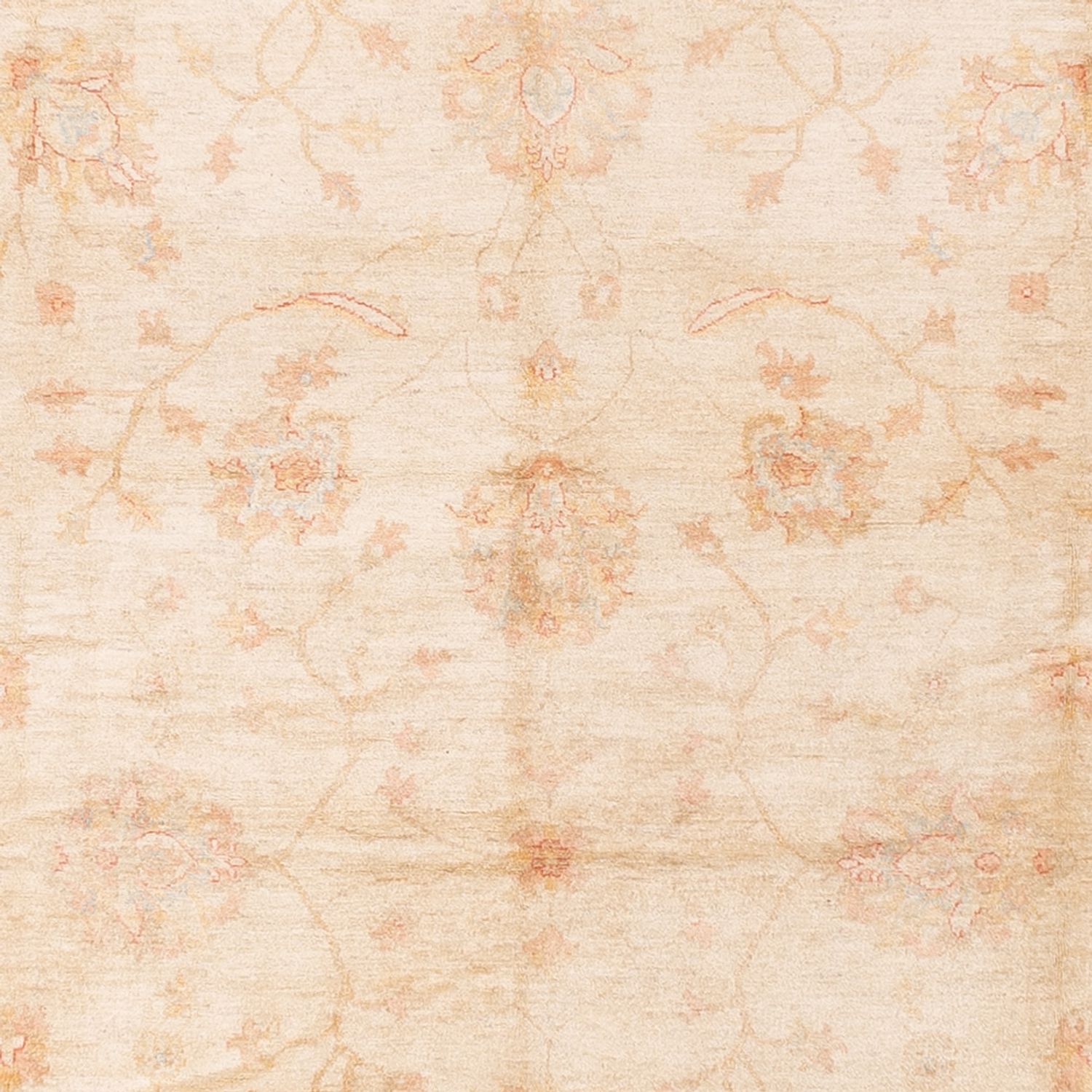 Ziegler Rug - 592 x 403 cm - beige