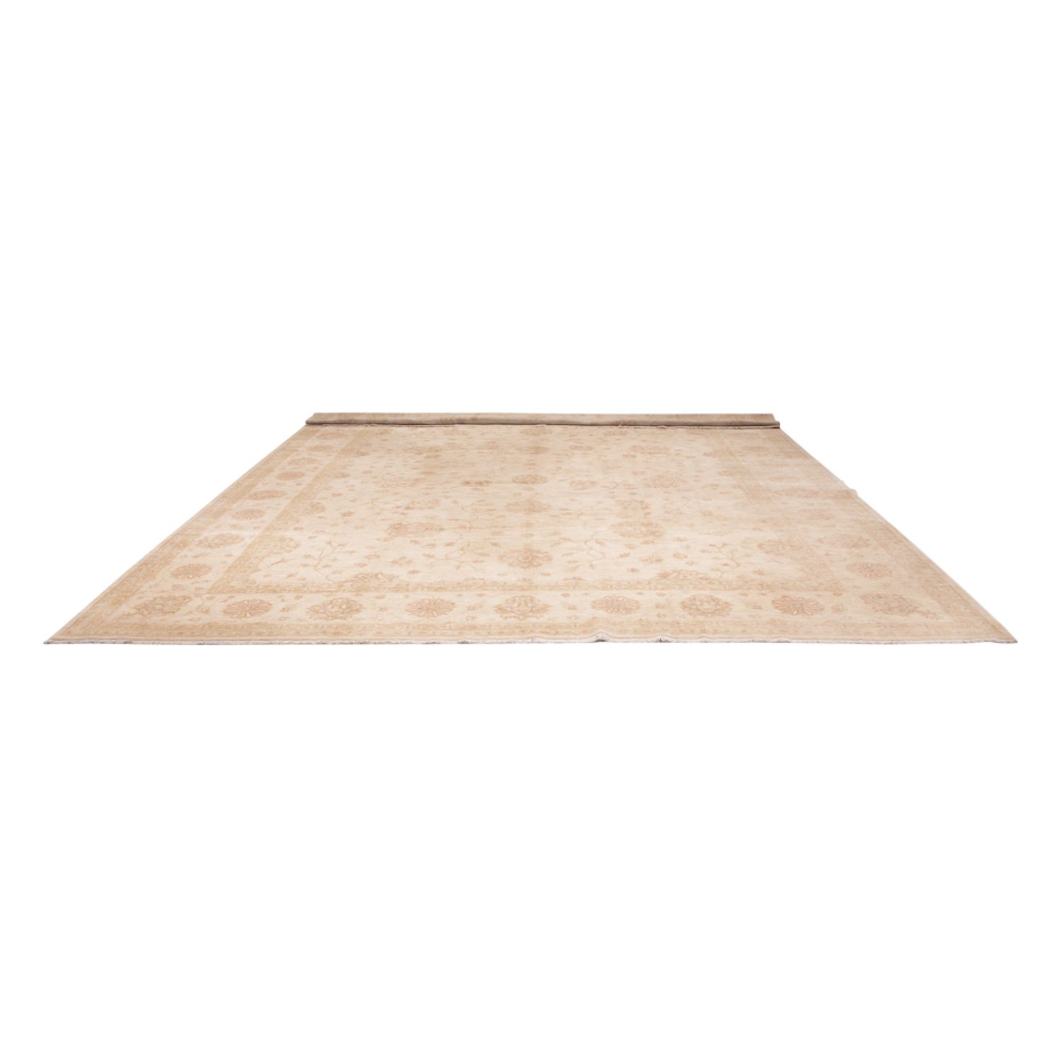 Ziegler Rug - 592 x 403 cm - beige