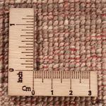 Ziegler Rug - Ariana - 150 x 100 cm - beige