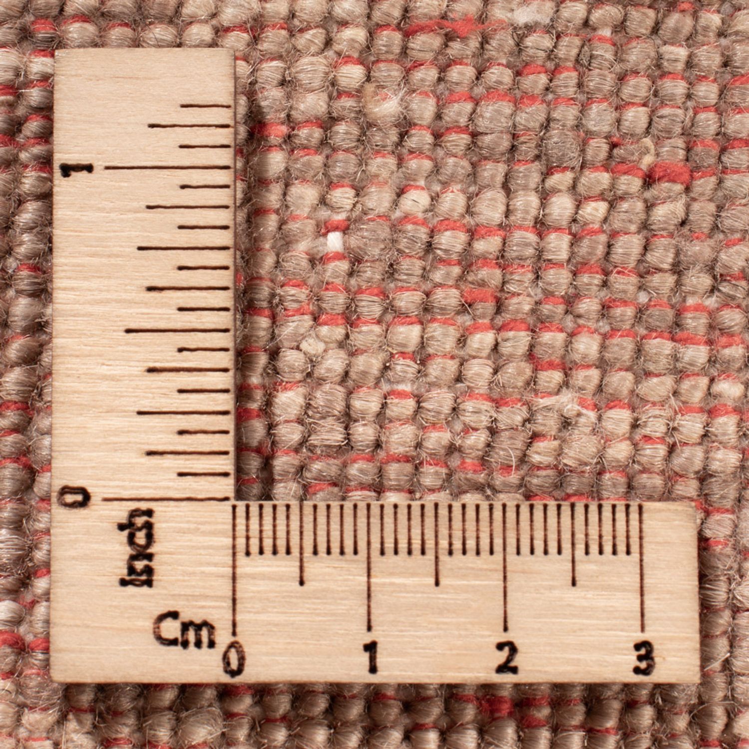 Ziegler Rug - Ariana - 243 x 172 cm - beige