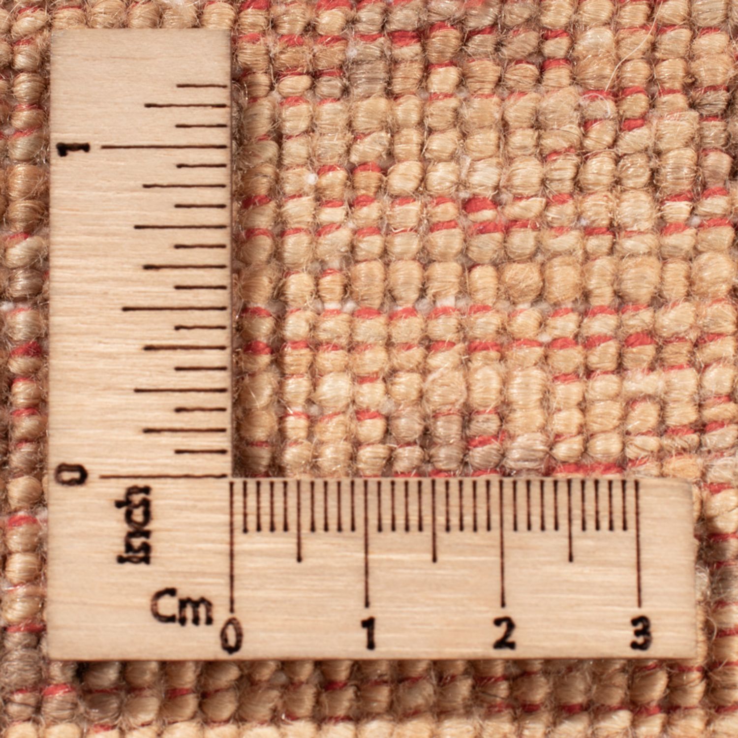 Ziegler Rug - Ariana - 244 x 177 cm - beige