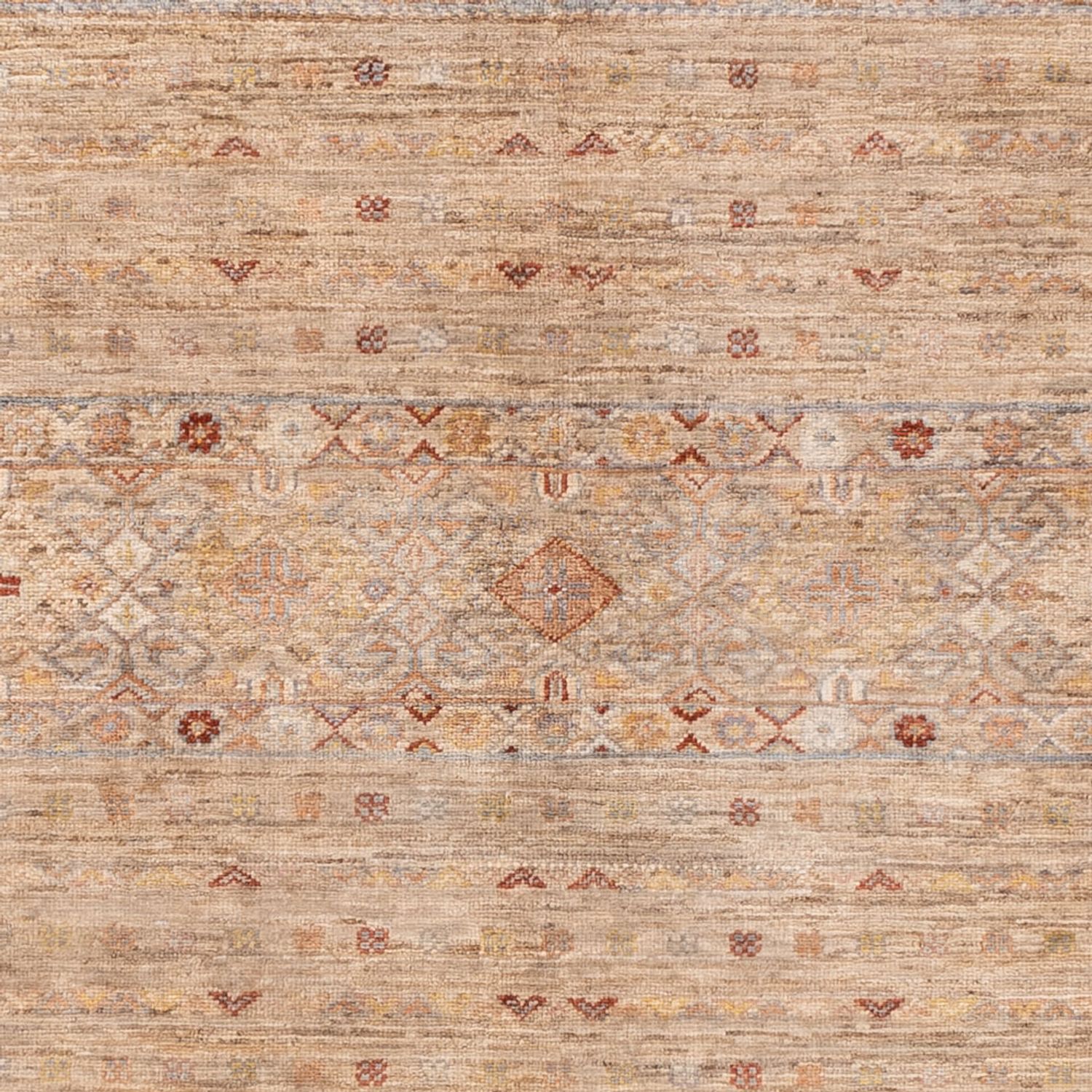 Ziegler Rug - Ariana - 245 x 173 cm - beige
