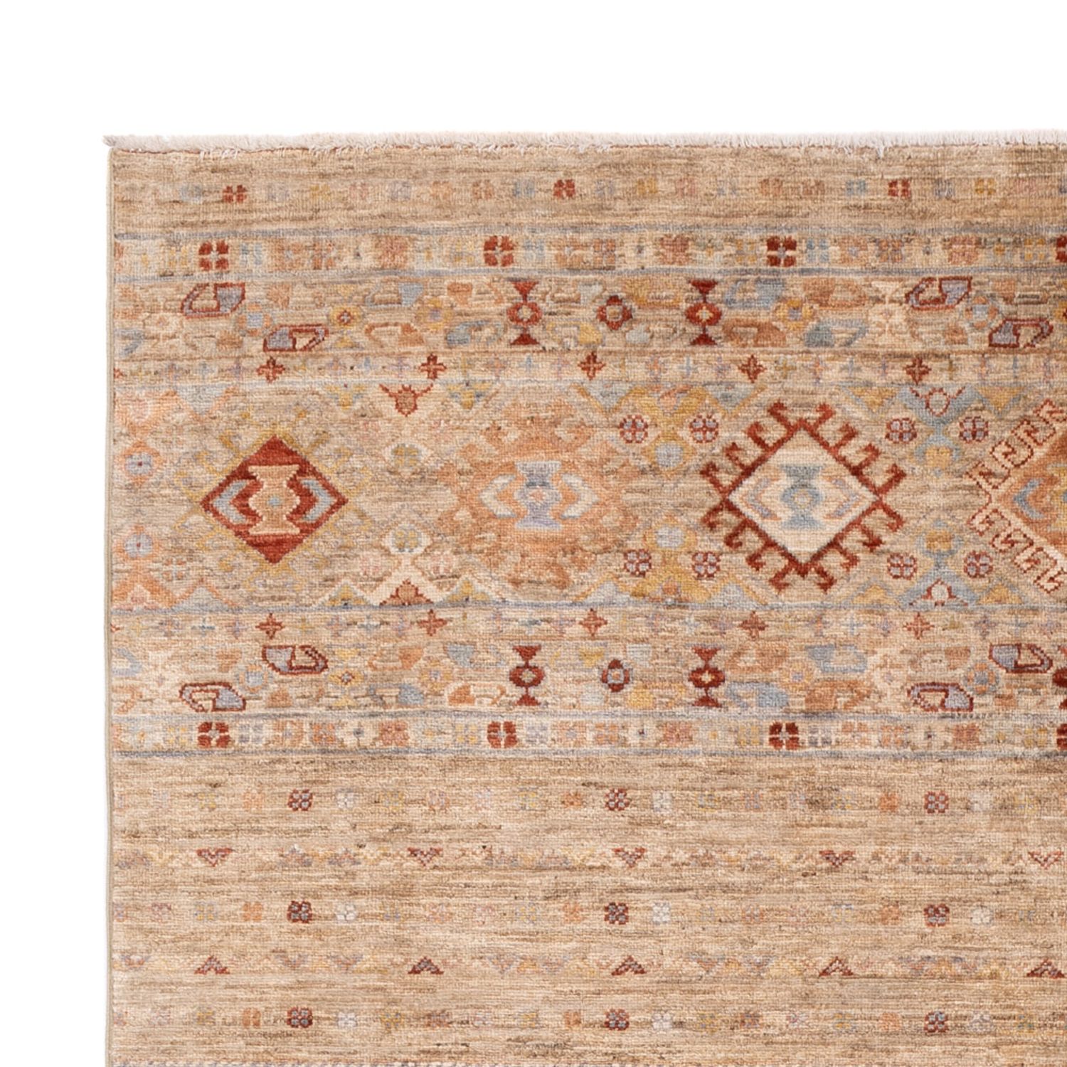 Ziegler Rug - Ariana - 245 x 173 cm - beige