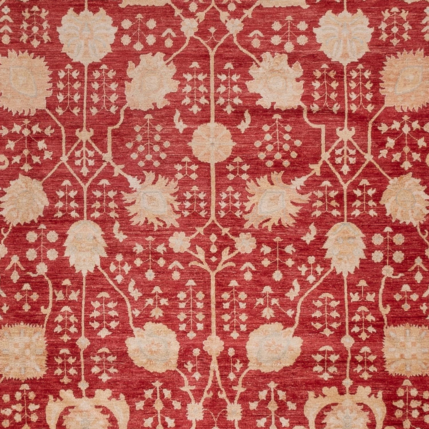 Ziegler Teppe - 495 x 400 cm - rød