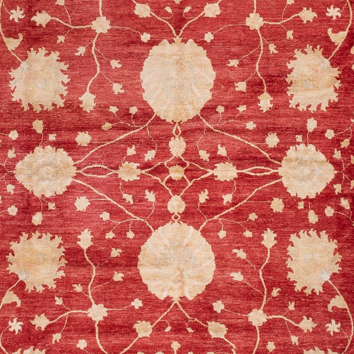 Zieglerův koberec - 521 x 400 cm - béžová