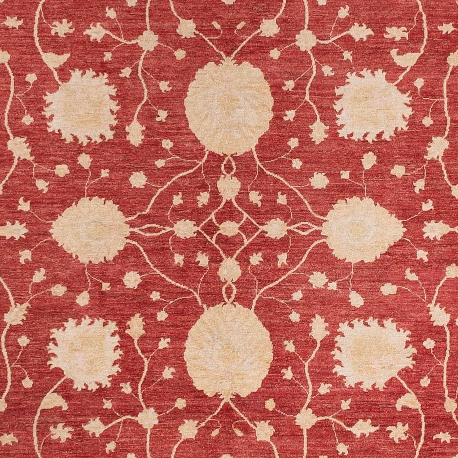 Ziegler Teppich - 484 x 304 cm - rot