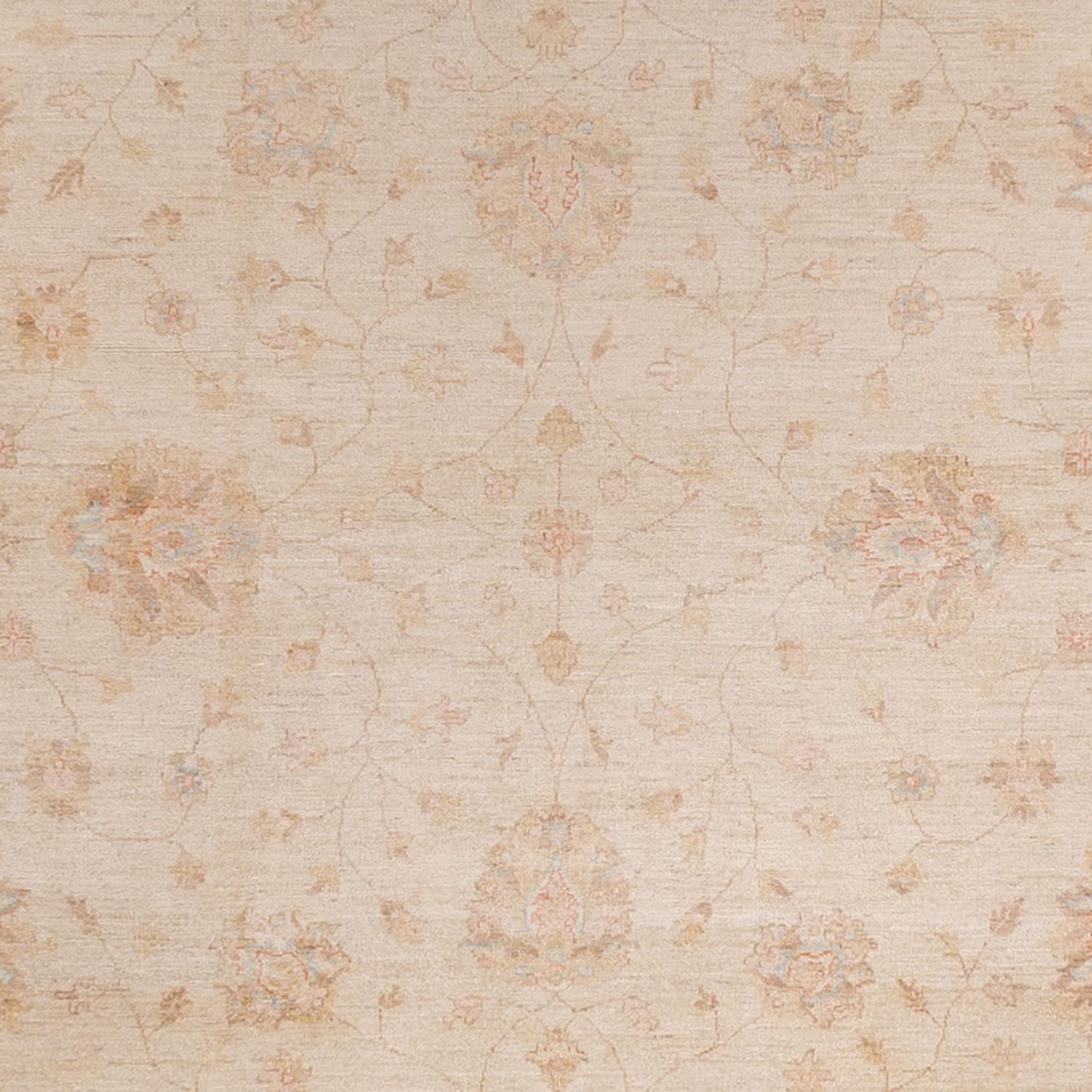 Zieglerův koberec - 487 x 301 cm - béžová