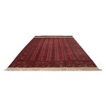 Afghan Teppich - Buchara - 505 x 308 cm - rot