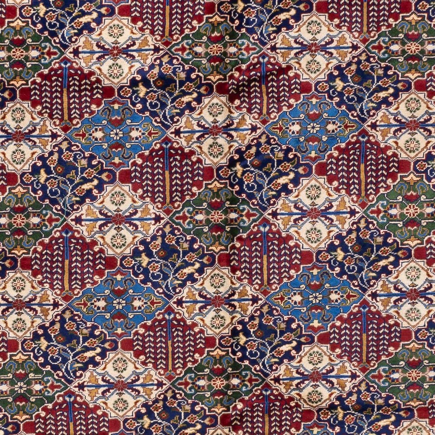 Afghan Rug - 389 x 300 cm - multicolored
