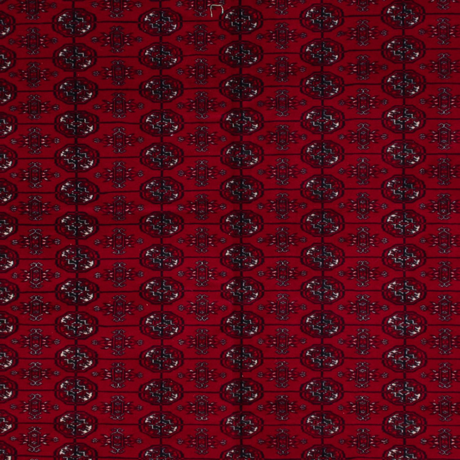 Afghan Rug - Bukhara - 390 x 296 cm - dark red