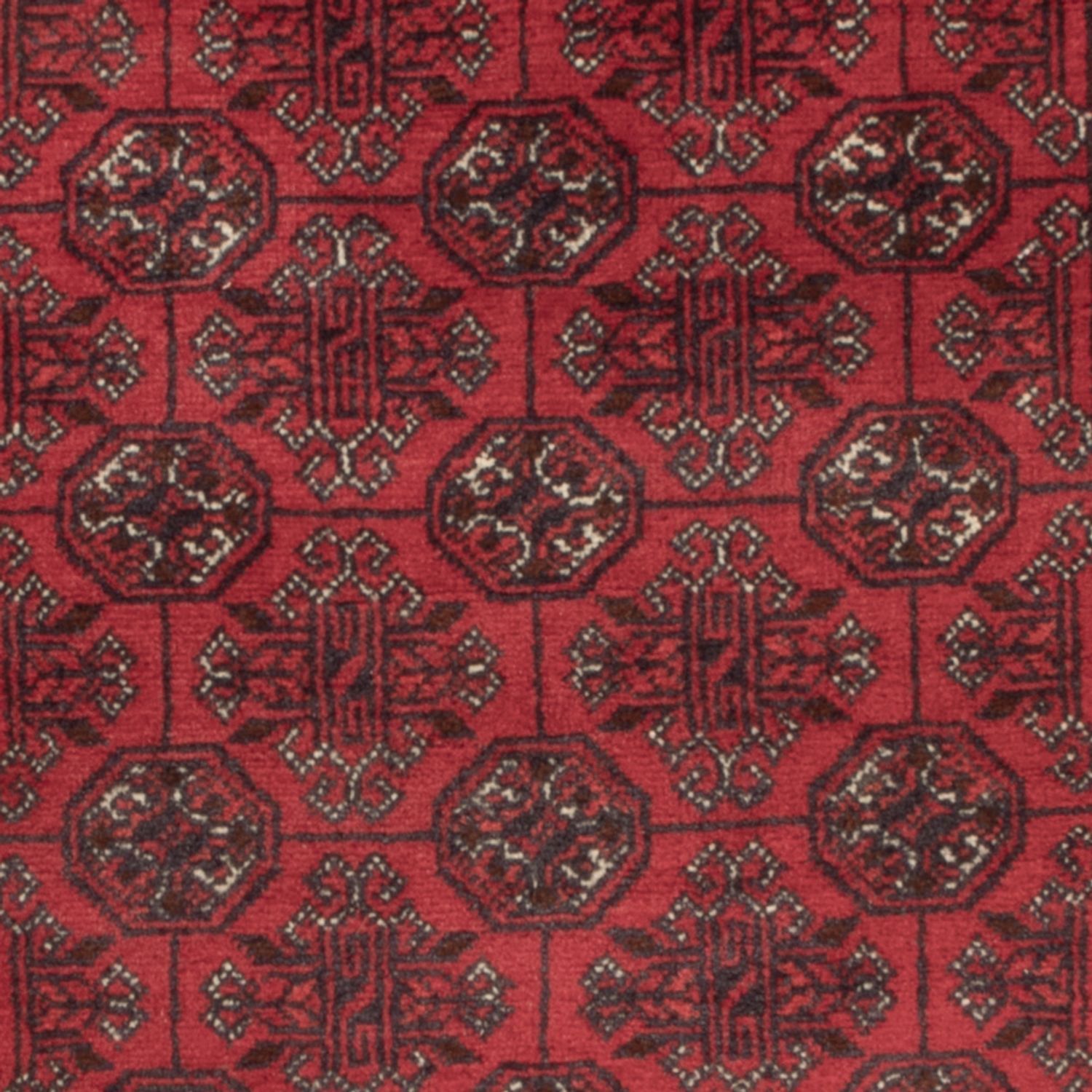 Afgański dywan - Bukhara - 122 x 70 cm - ciemna czerwień
