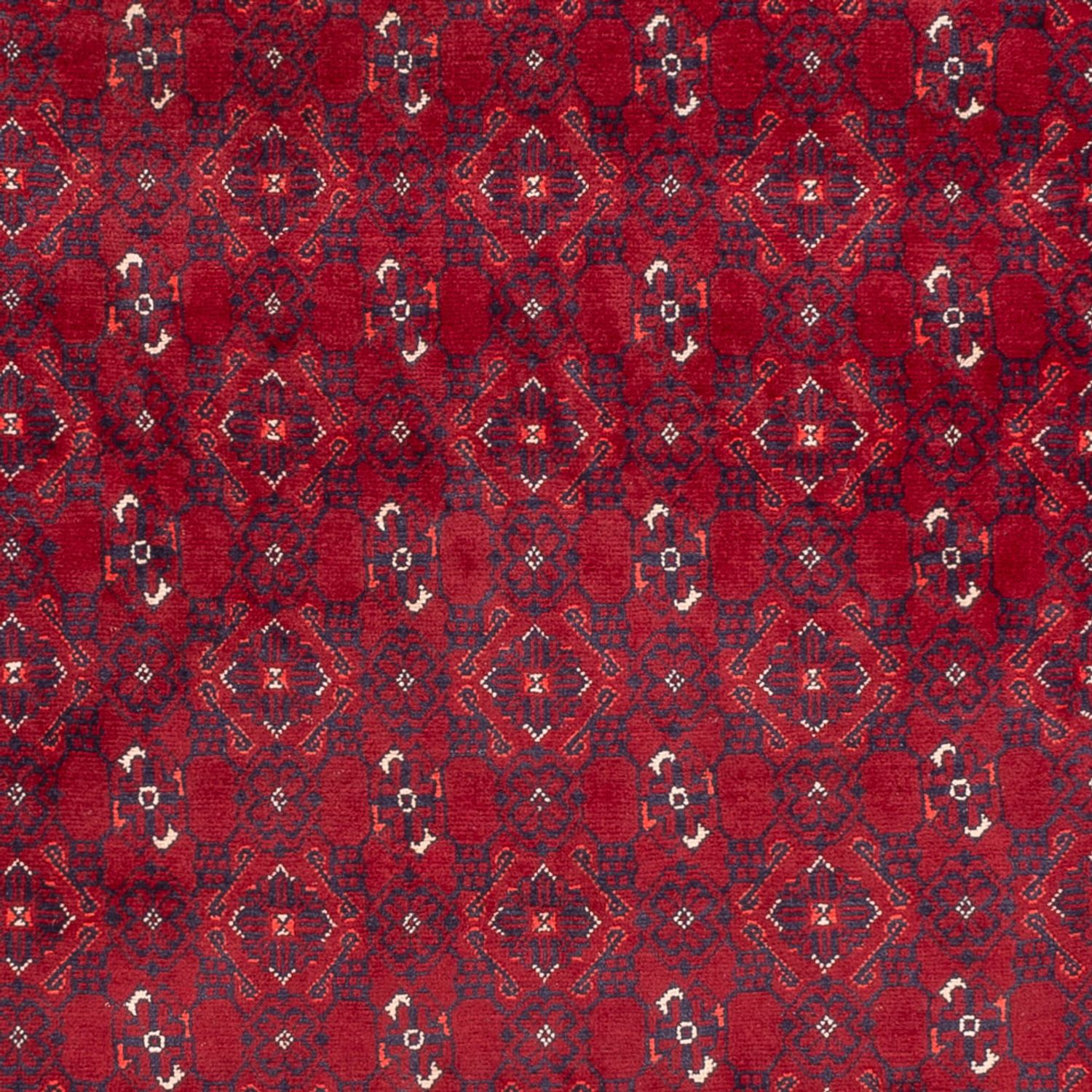 Afghan Rug - Bukhara - 281 x 193 cm - red