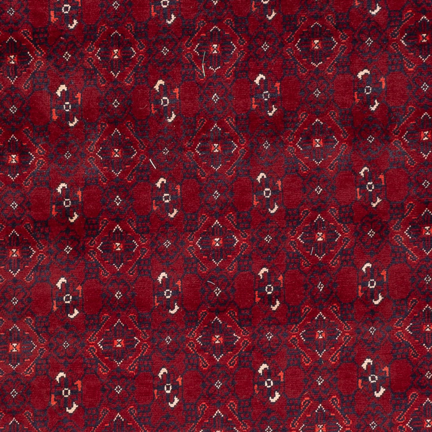 Afghan Rug - Bukhara - 284 x 195 cm - red