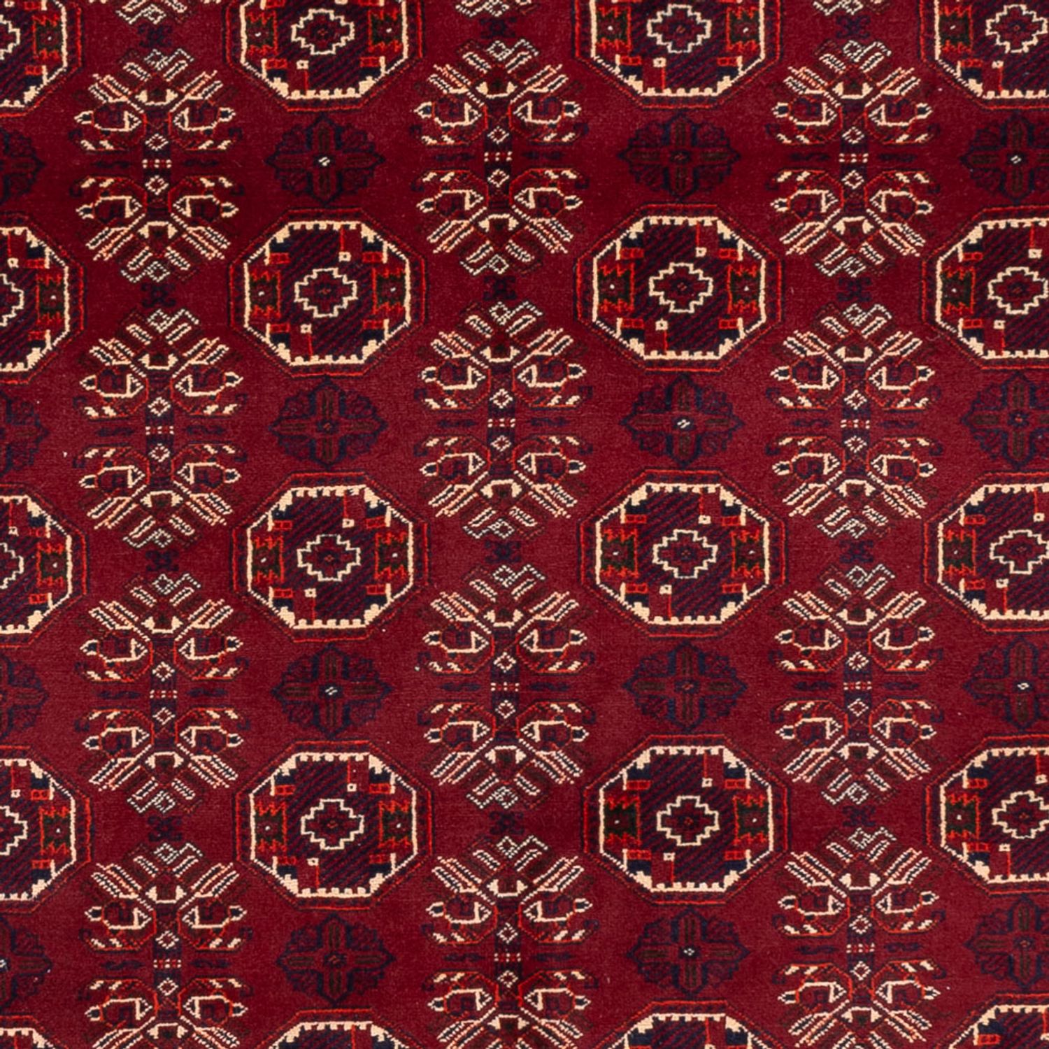 Afghánský koberec - Buchara - 280 x 188 cm - tmavě červená