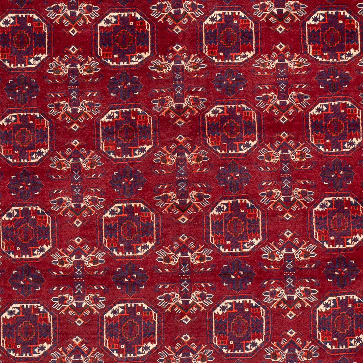 Afghan Rug - Bukhara - 283 x 198 cm - dark grey