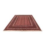 Afghan Rug - Bukhara - 283 x 198 cm - dark grey
