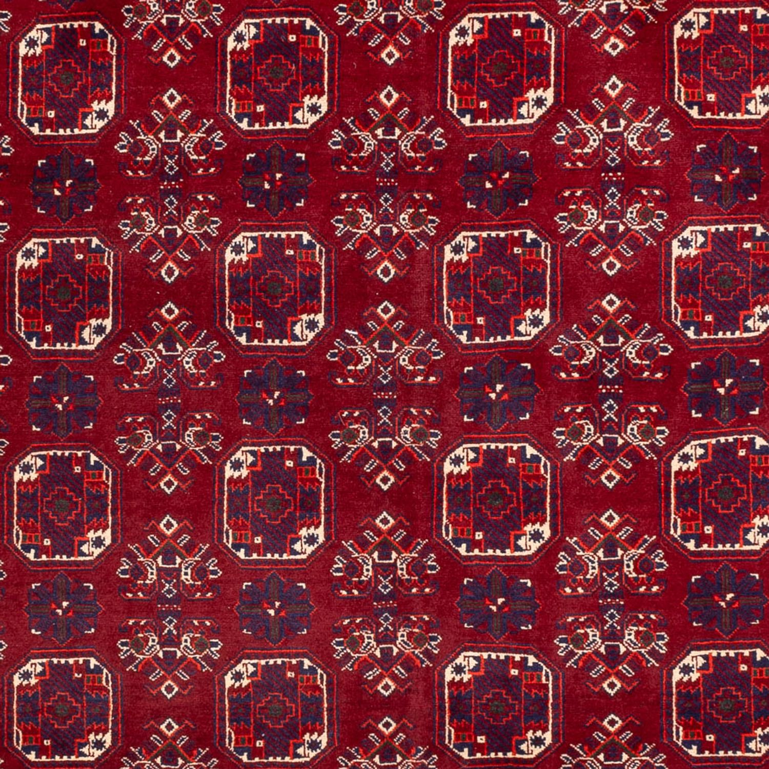 Afghan Rug - Bukhara - 288 x 197 cm - red