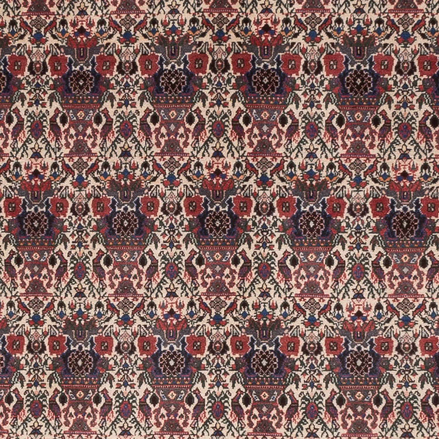Perski dywan - Nomadyczny - 300 x 200 cm - ciemny beż