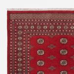 Pakistani Rug - 331 x 251 cm - red